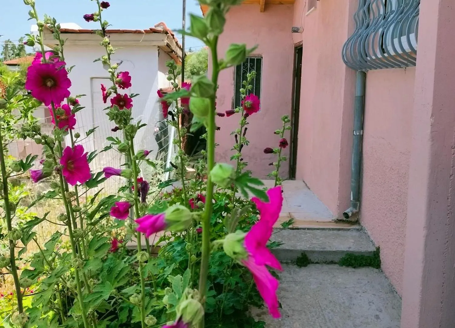 Kali Sunnyside Up Villa Nea Kallikrateia